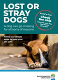 Lost or Stray Dogs Leaflet
